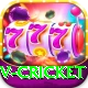 v cricket Apps (Tools & Injectors) Deluxe v2.3.4