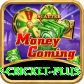 v cricket Slots Deluxe v3.3.2