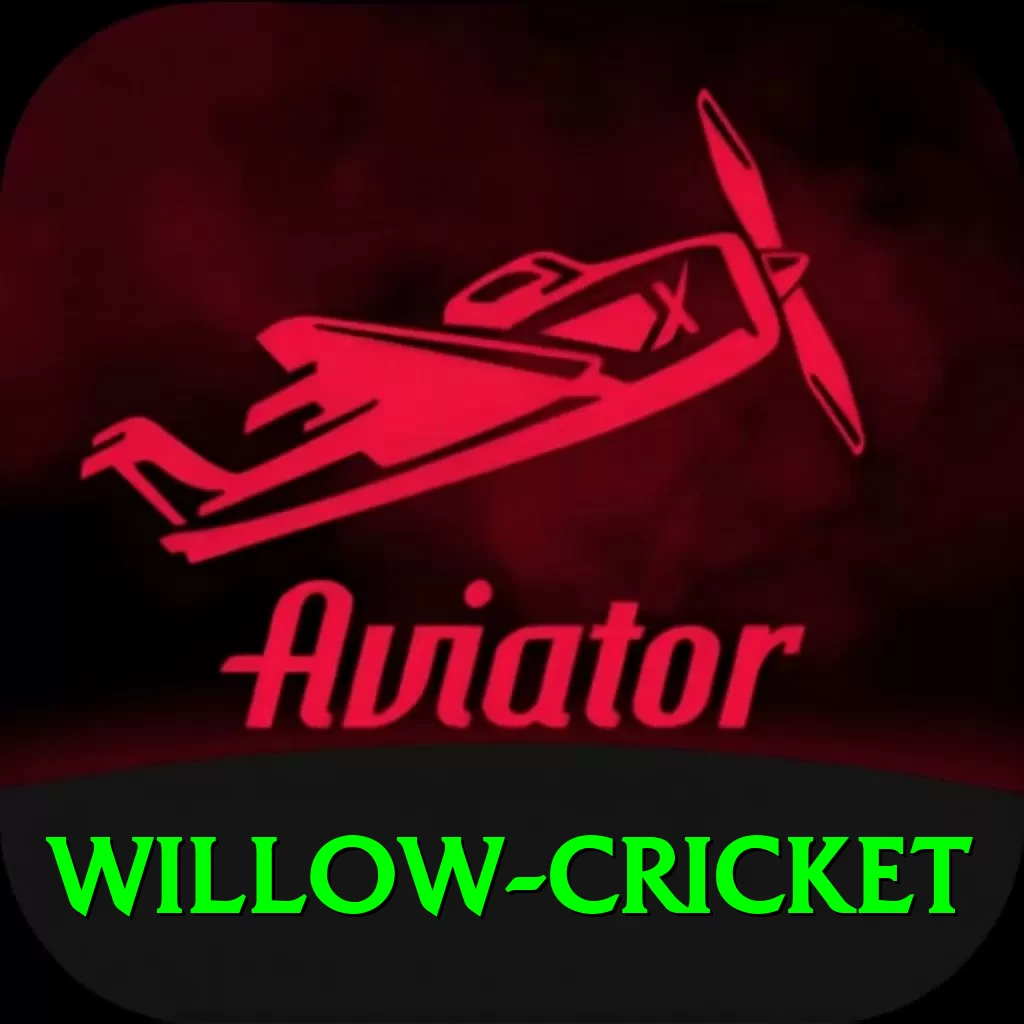 willow cricket Pro Max v4.5.2 - 2