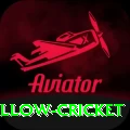 willow cricket Pro Max v4.5.2
