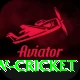 willow cricket Pro Max v4.5.2