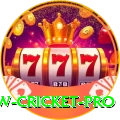 willow cricket Live Ultimate v5.0.1