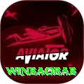 winbaobab Premium Plus vv2.8.3